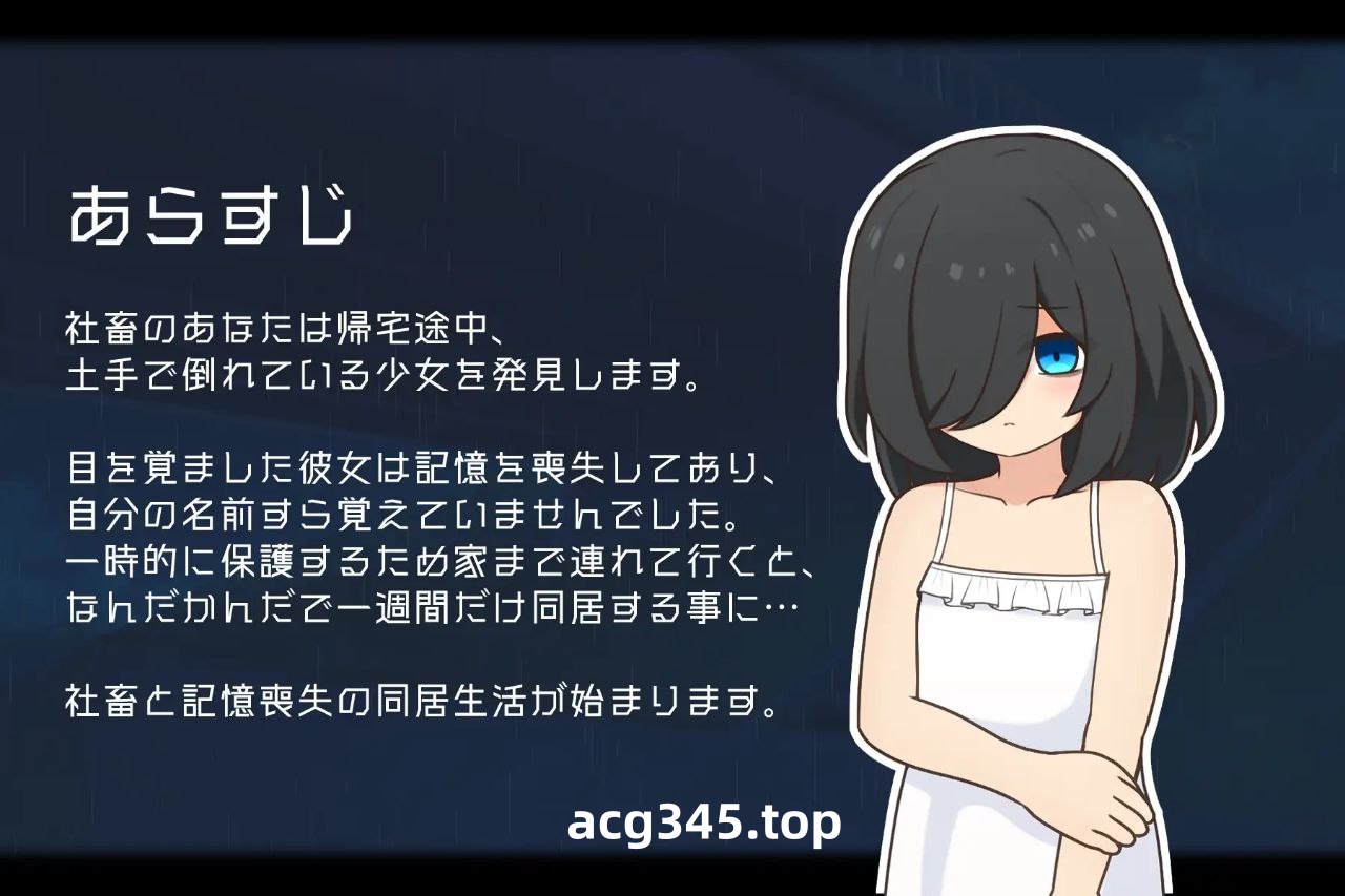 t3072失忆少女 Little sister 汉化版[新作/500M][PC+安卓]-ACG畅游网