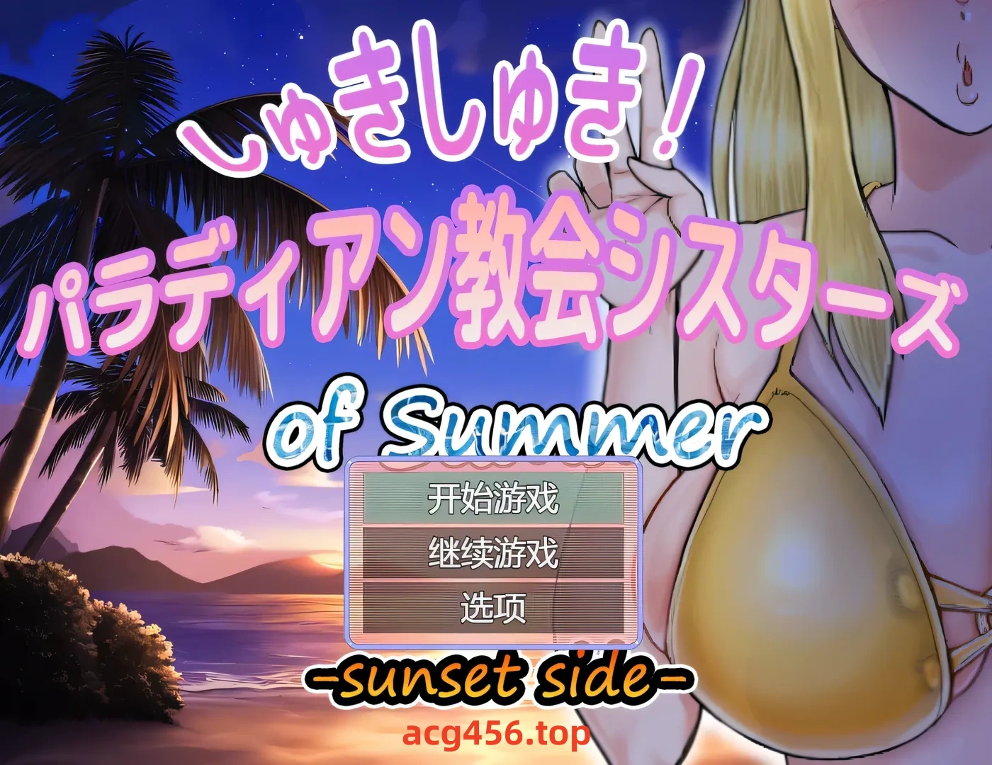 x2596 超喜欢！帕拉迪安教会的修女们 挂载AI汉化版+存档 [新作/530M]-ACG畅游网
