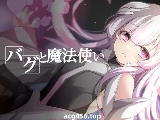 x1906 BUG与魔法使(バグと魔法使い)  汉化版 [360M]-ACG畅游网