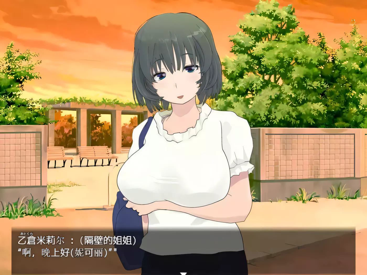 【高自由度RPG/汉化/全动态】寝取小镇的超H传阅板！开门即H！汉化作弊版【900M/全CV】-ACG畅游网