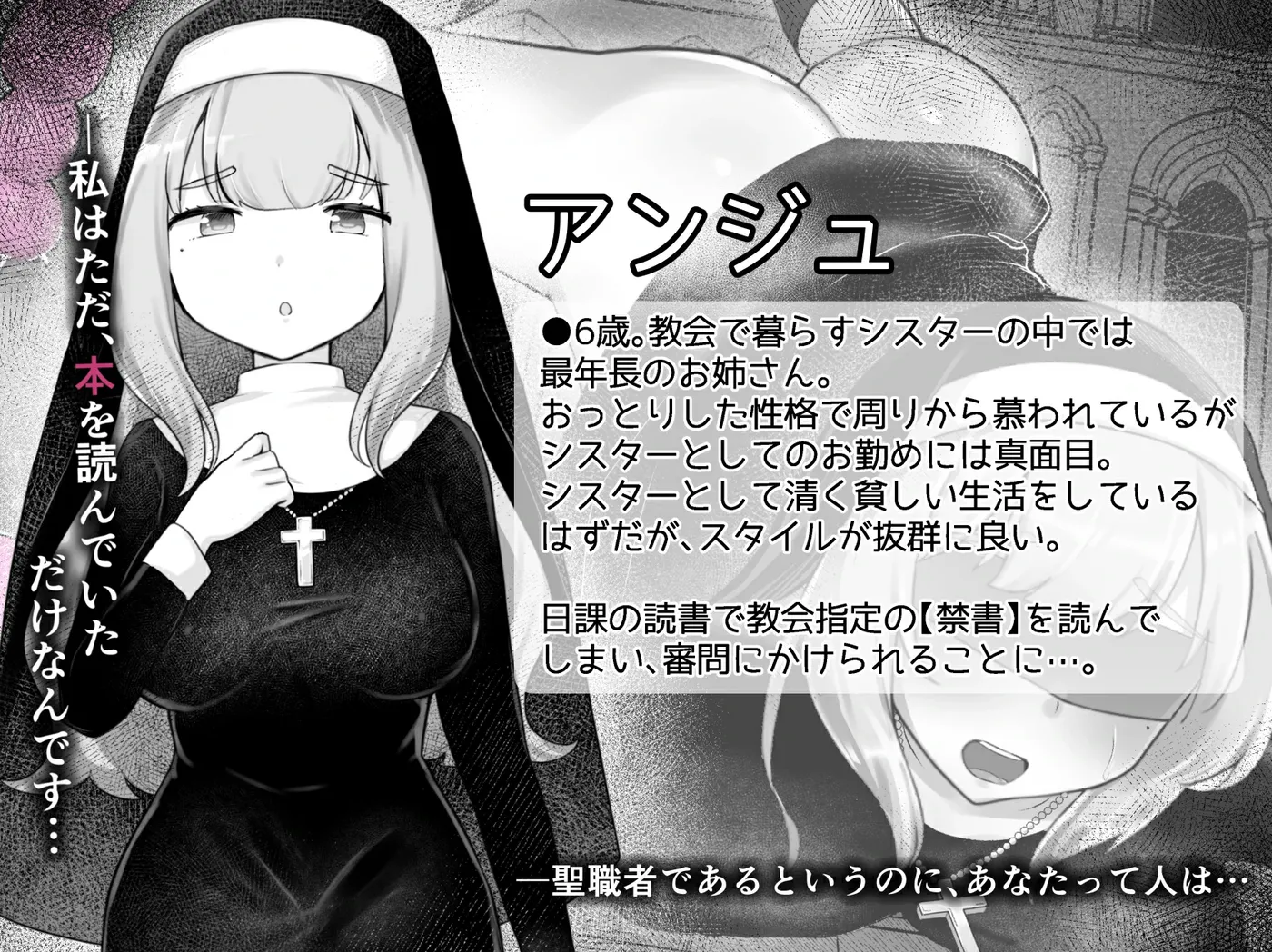 b3177 Sister’s Libido ~異端審問官になって罪を犯した聖女たちを捕えてお仕置きするゲーム~Ver1.01 AI汉化版 [更新/350M]-ACG畅游网