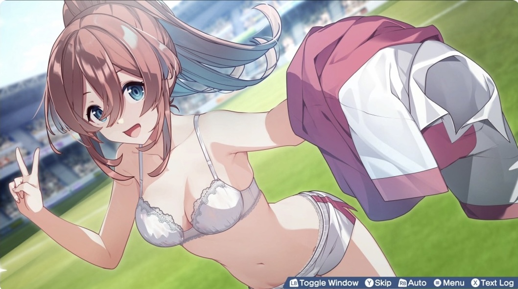 图片[8]-梦幻球星明日翔 完全版「官方中文 V1.0.1A+全DLC-ACG畅游网