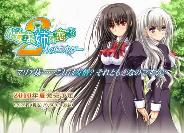 a7003少女爱上姐姐 2/ 处女爱上姊姊  v1.1汉化免安装版【PC/2.6G】-ACG畅游网