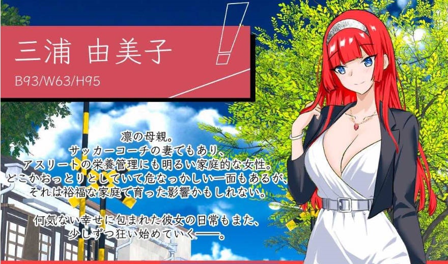 图片[9]-NTR足球/NTRサッカー v0.1.1 demo 官方中文版 [新作] [3.4G ]-ACG畅游网
