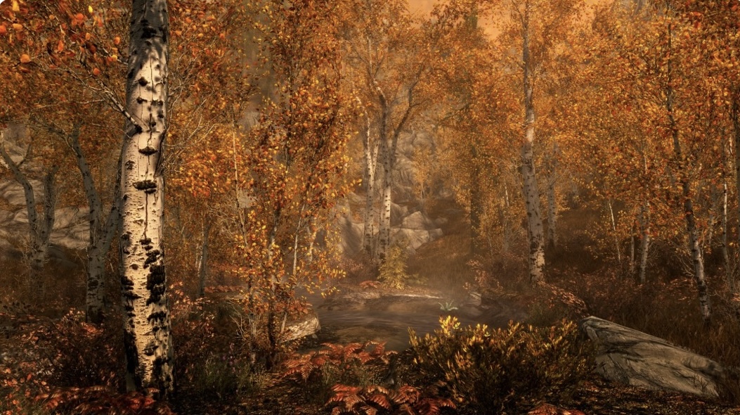 图片[4]-上古卷轴5 天际 豪华年度传奇 重制版|V2.0.5-整合MOD威猛版+全 DLC|解压即撸-ACG畅游网