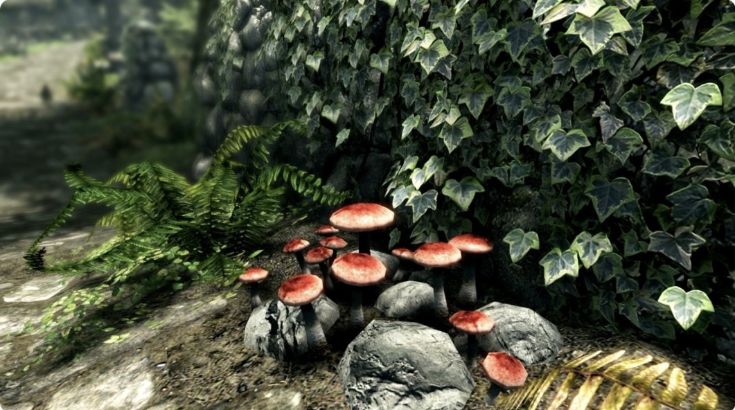 图片[7]-上古卷轴5 天际 豪华年度传奇 重制版|V2.0.5-整合MOD威猛版+全 DLC|解压即撸-ACG畅游网