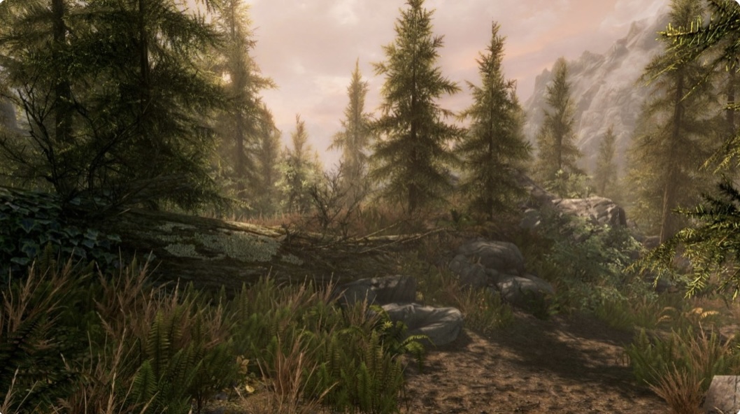 图片[8]-上古卷轴5 天际 豪华年度传奇 重制版|V2.0.5-整合MOD威猛版+全 DLC|解压即撸-ACG畅游网