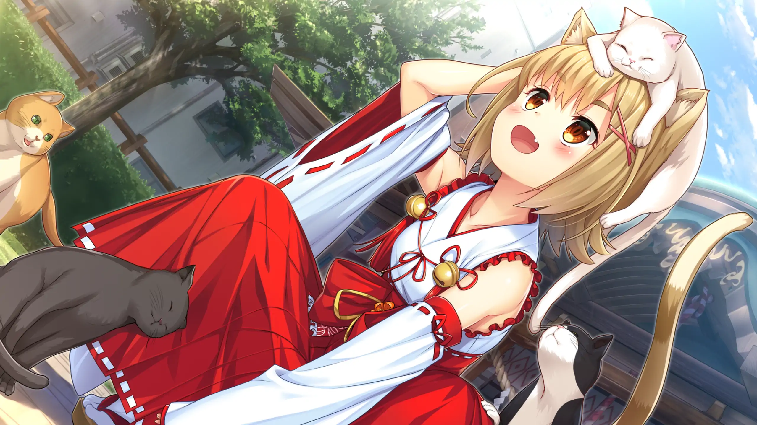 图片[2]-a145神社里的猫巫女 v1.03 官方中文【PC/0.72G】-ACG畅游网