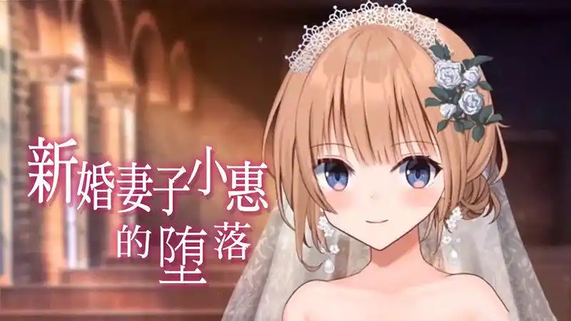 a3052新婚妻子小惠的堕落 完整版 官方中文【PC/2G/新作】-ACG畅游网