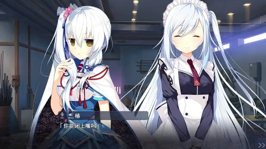 图片[4]-x12037共结情缘的剑舞恋曲   1+2+SS*2合集  精翻汉化【PC/5.1G/更新】-ACG畅游网