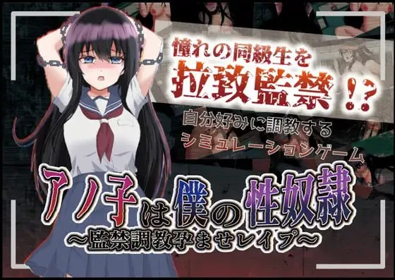 x16599那个女孩是我的性奴隶～监禁调教孕育强奸～ v1.01 AI汉化版[PC+安卓/1.8G/新作]-ACG畅游网