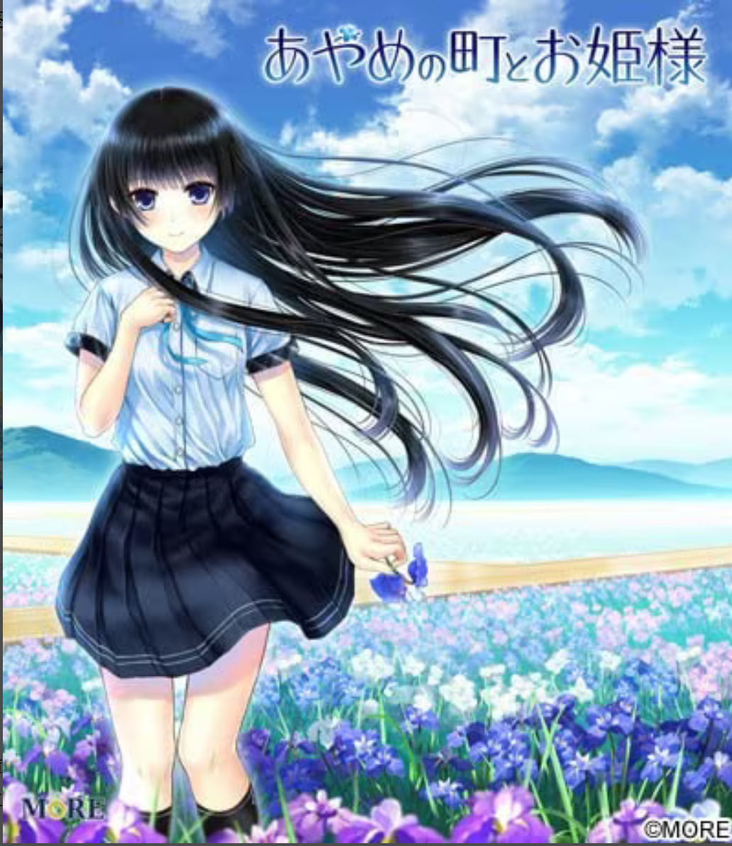 x12062菖蒲的城镇和公主大人 精翻汉化【PC/1.5G/更新】-ACG畅游网