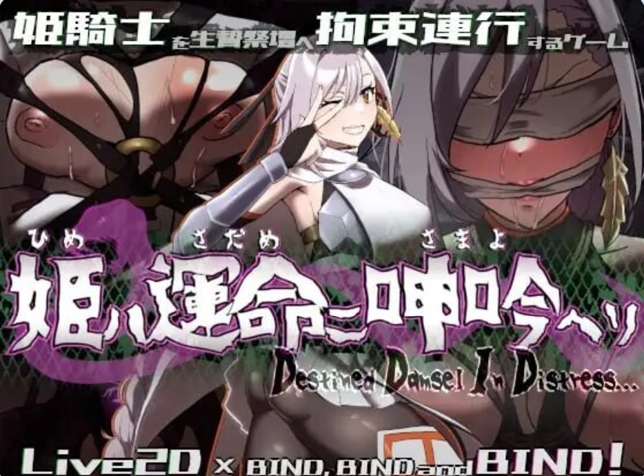 图片[5]-p3087命运束缚的公主 V1.05 Steam官方中文【PC/470M/新作】-ACG畅游网