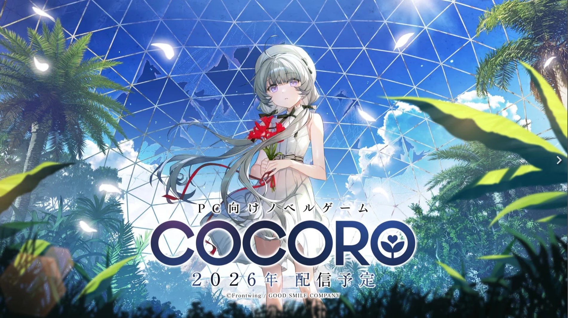 p3148  COCORO  官方中文【PC＋安卓/4.6G/新作】-ACG畅游网